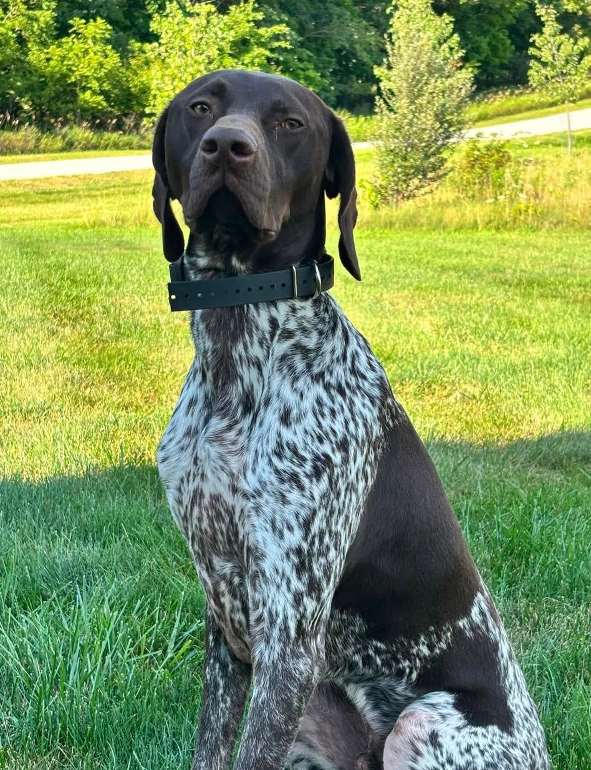 K9 Riggs Joins Angola Police Department